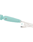 Pillow Talk Cheeky Wand -Teal