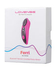 Lovense Ferri Panty Vibrator