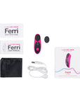 Lovense Ferri Panty Vibrator