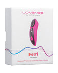 Lovense Ferri Panty Vibrator